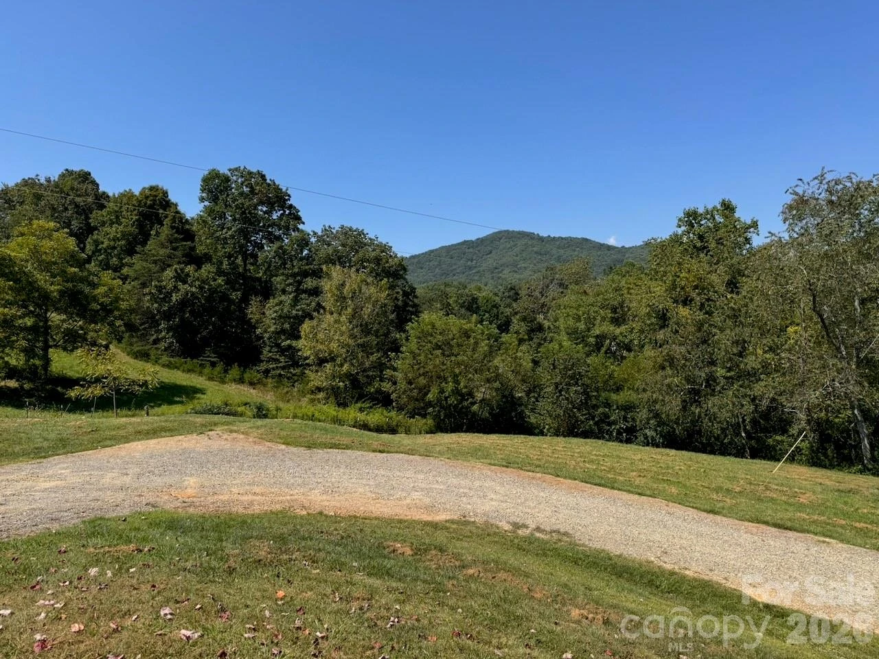 255 Dix Creek No 1 Road - Photo 13