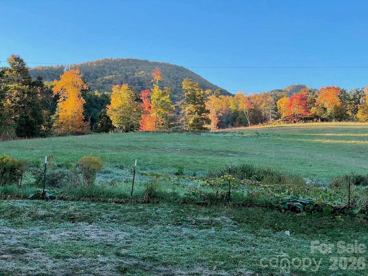 255 Dix Creek No 1 Road - Photo 39