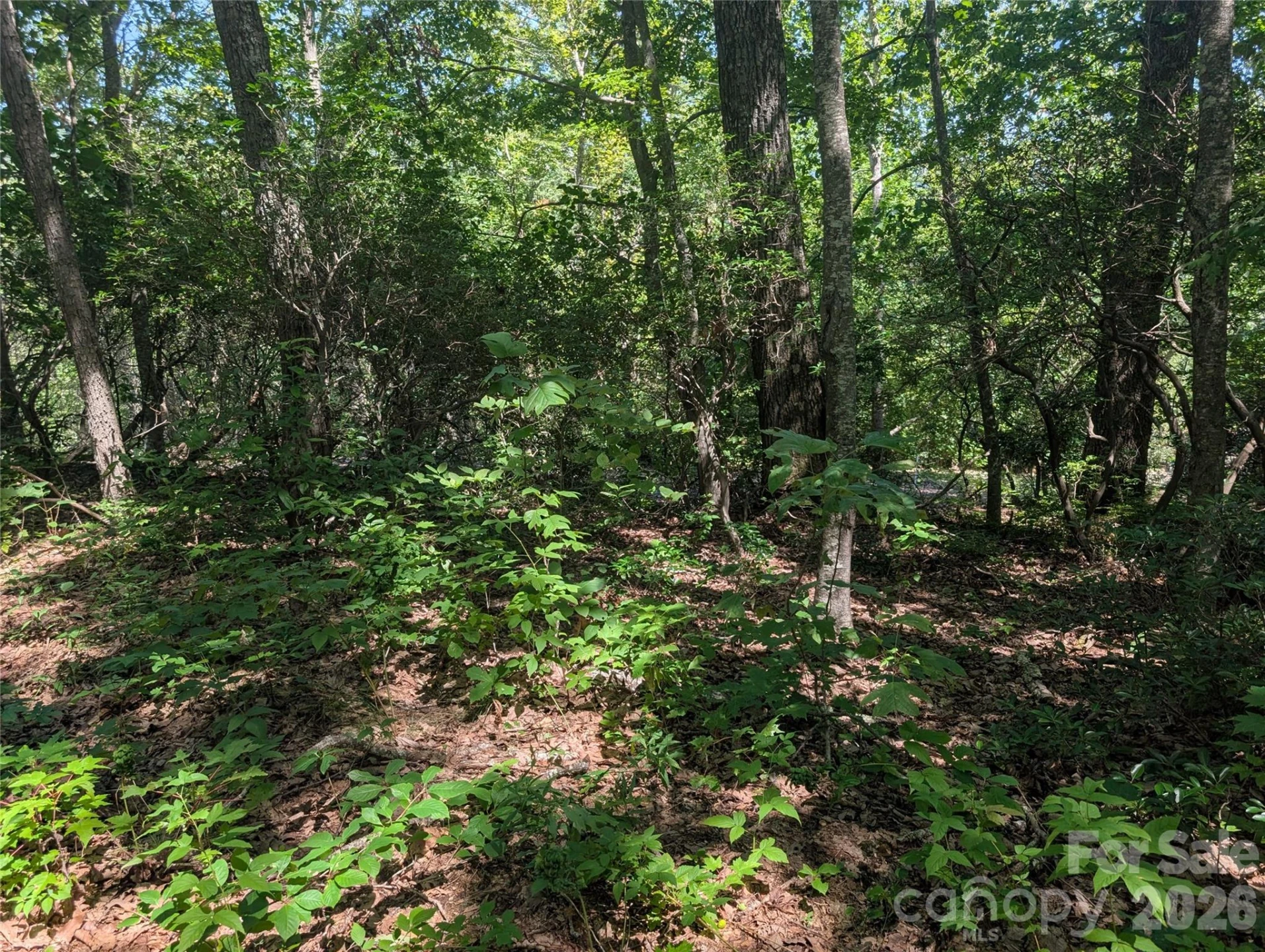 1824 Old Mill Road - Photo 2