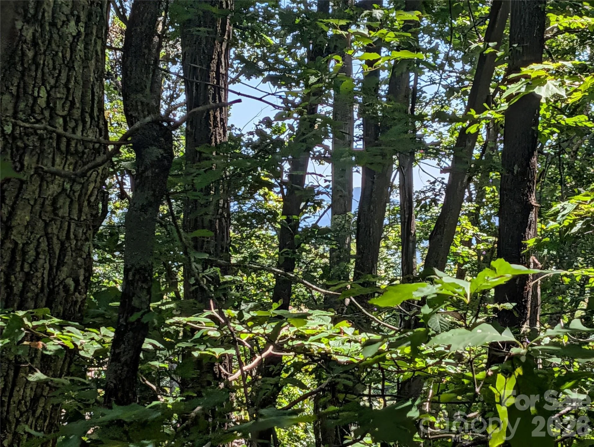 1824 Old Mill Road - Photo 3