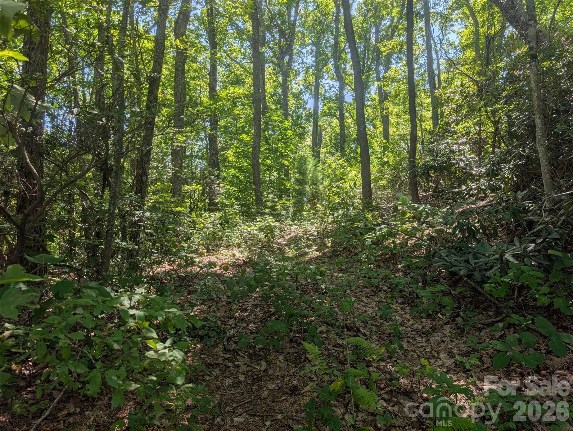 1824 Old Mill Road - Photo 4