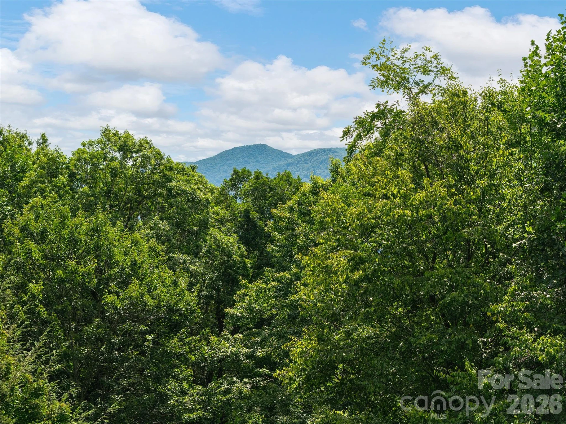 474 Scenic Circle - Photo 26