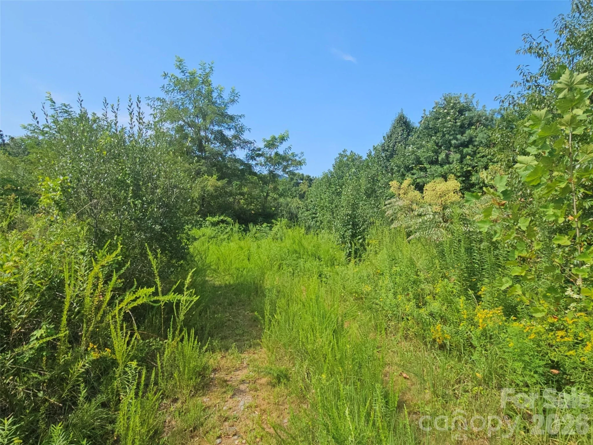 522 Buckeye Access Road - Photo 6