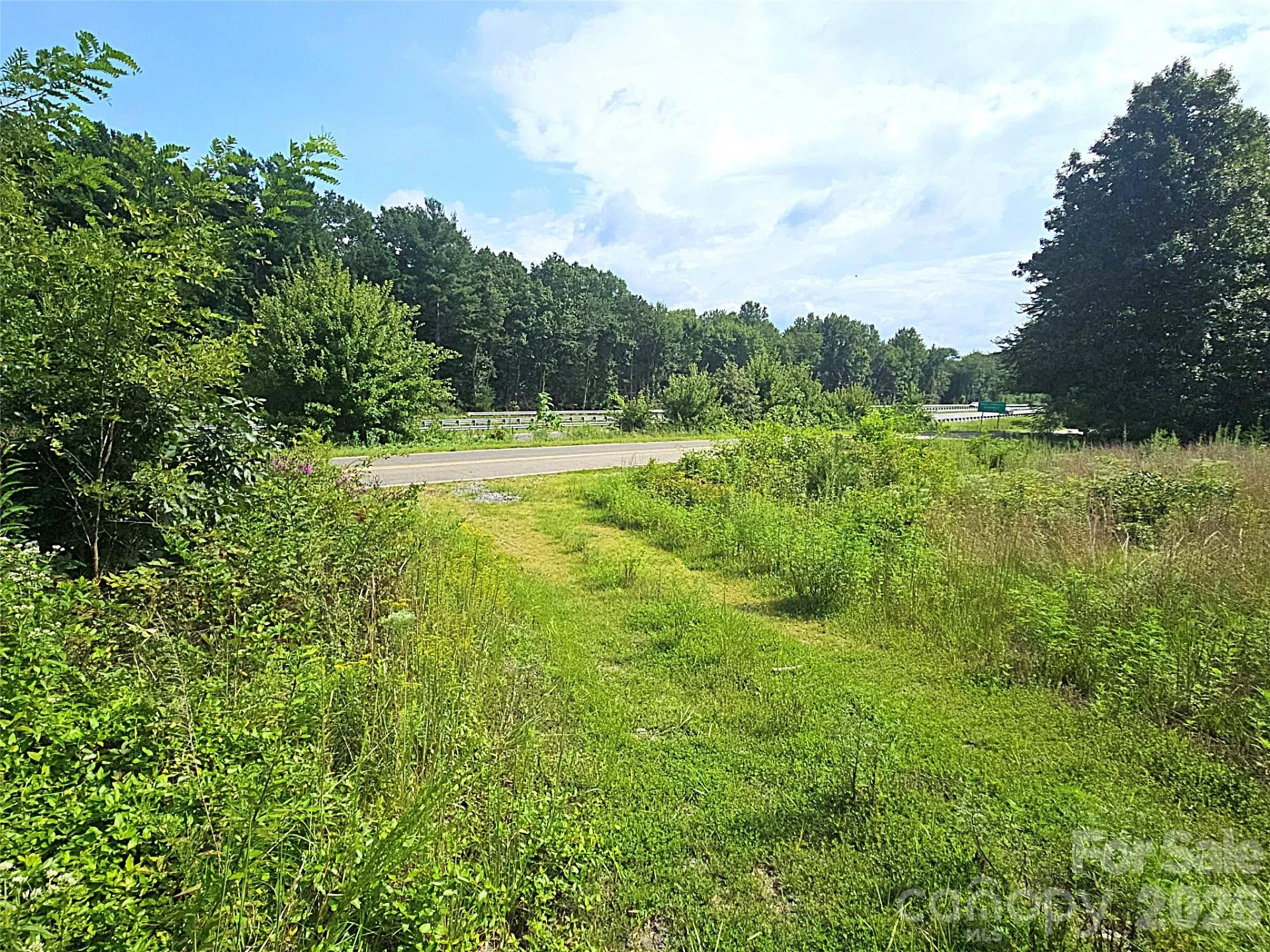 522 Buckeye Access Road - Photo 7
