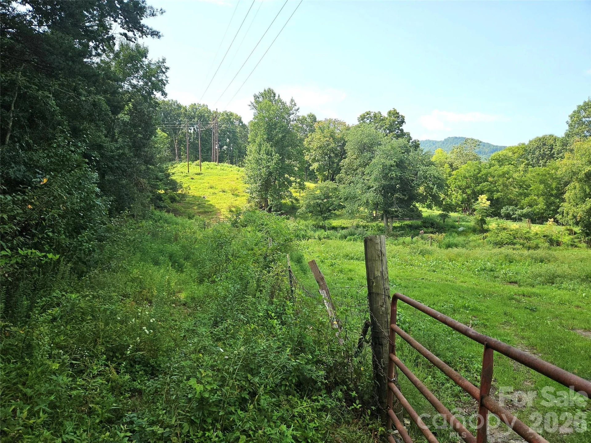 522 Buckeye Access Road - Photo 13