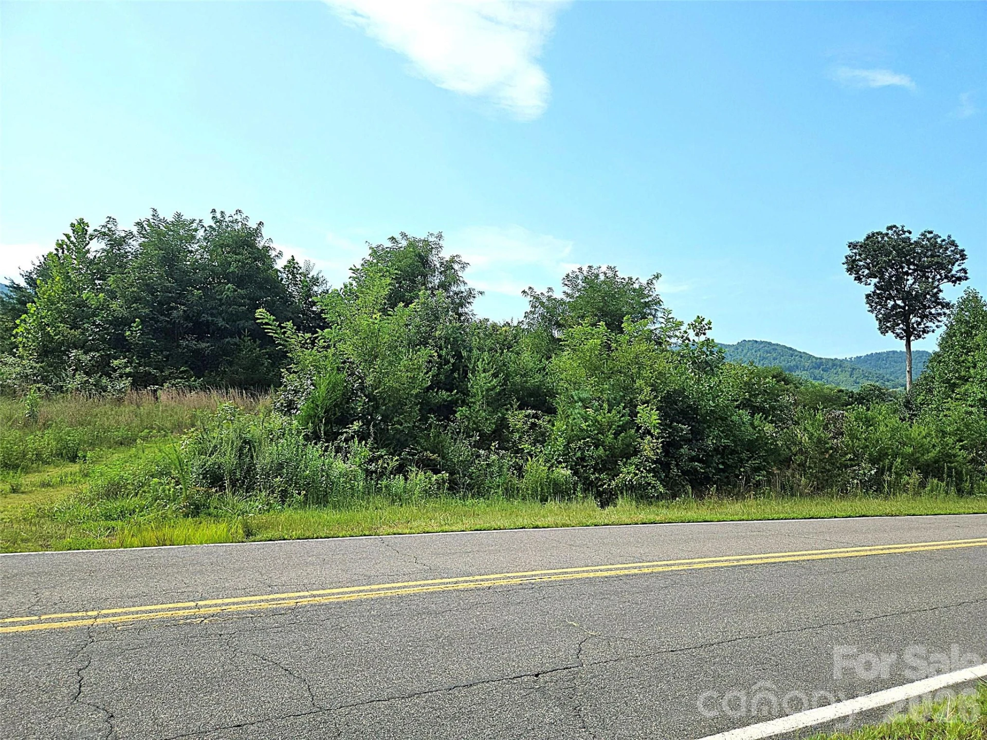 522 Buckeye Access Road - Photo 14
