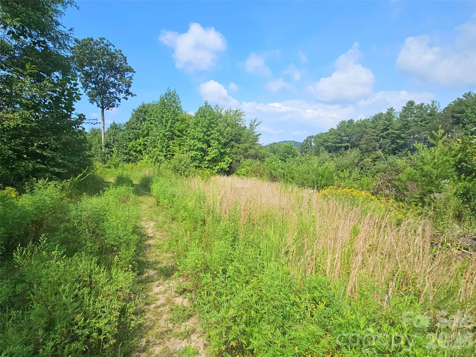 522 Buckeye Access Road - Photo 44