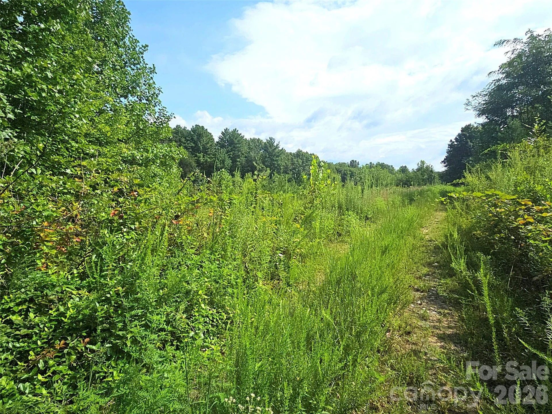 522 Buckeye Access Road - Photo 45