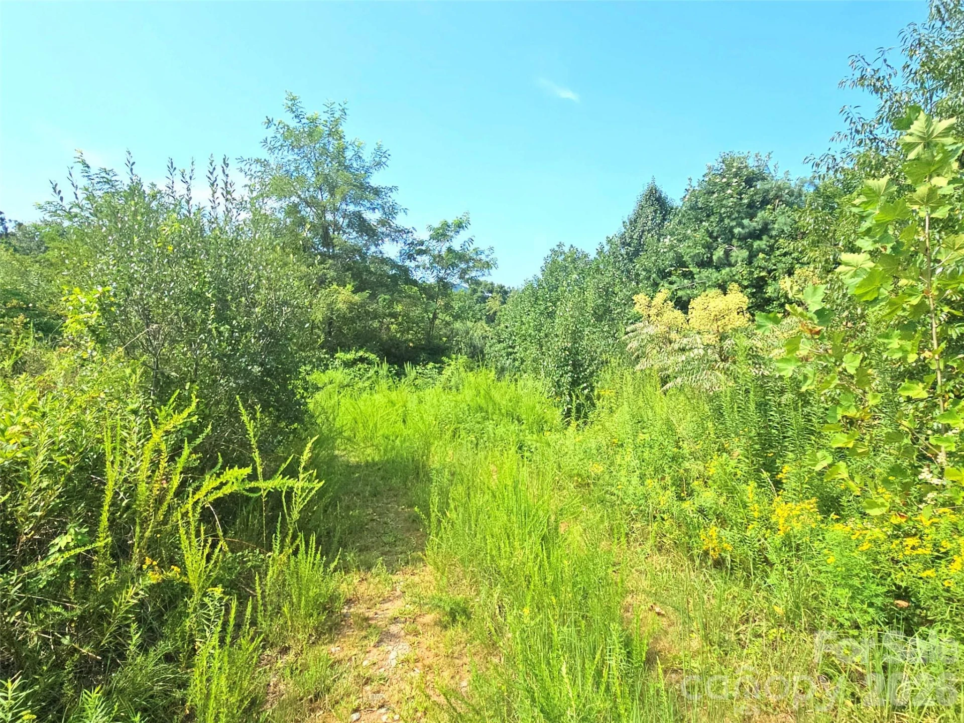 522 Buckeye Access Road - Photo 46