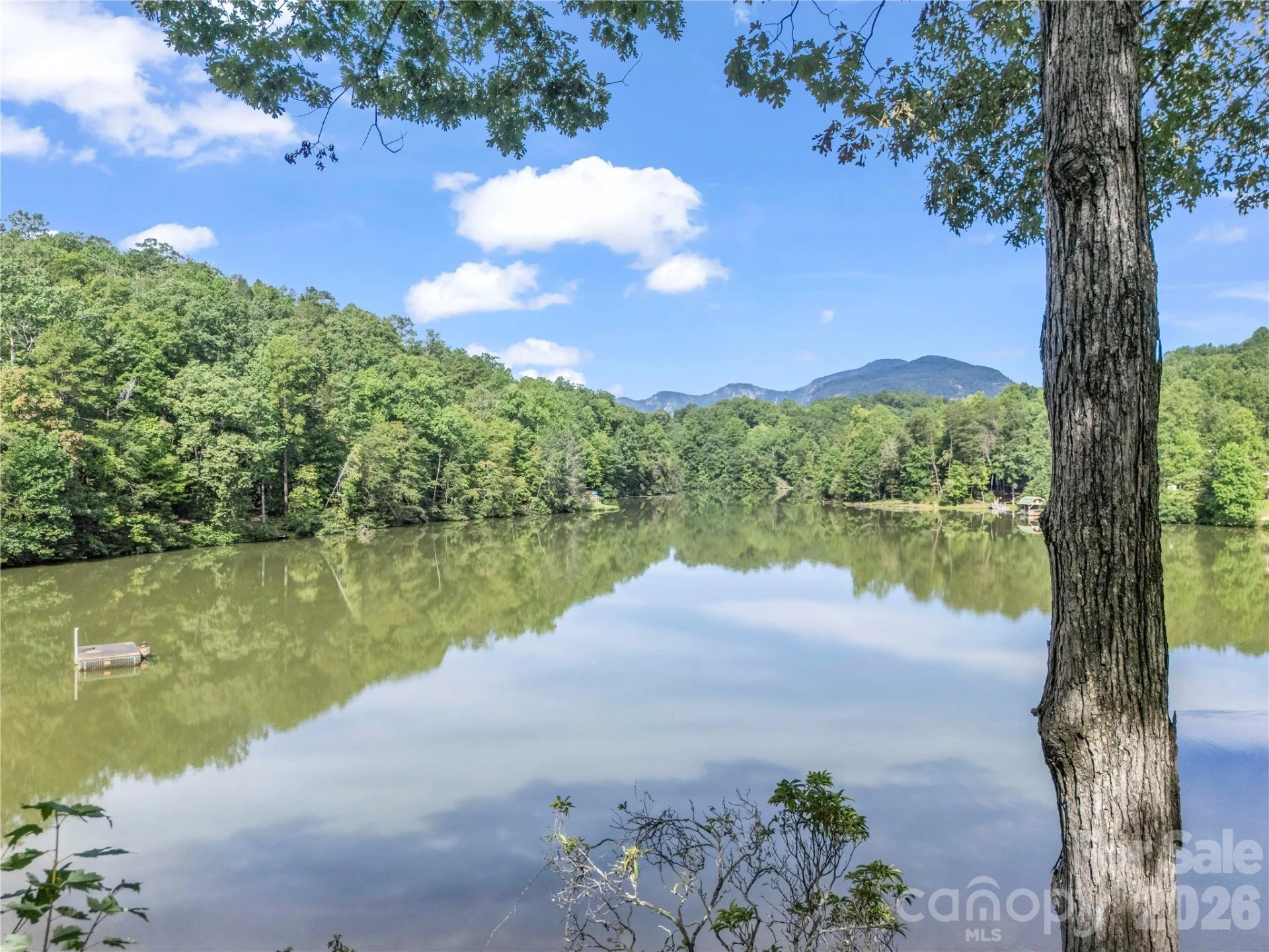 1050 Buffalo Shoals Road - Photo 46