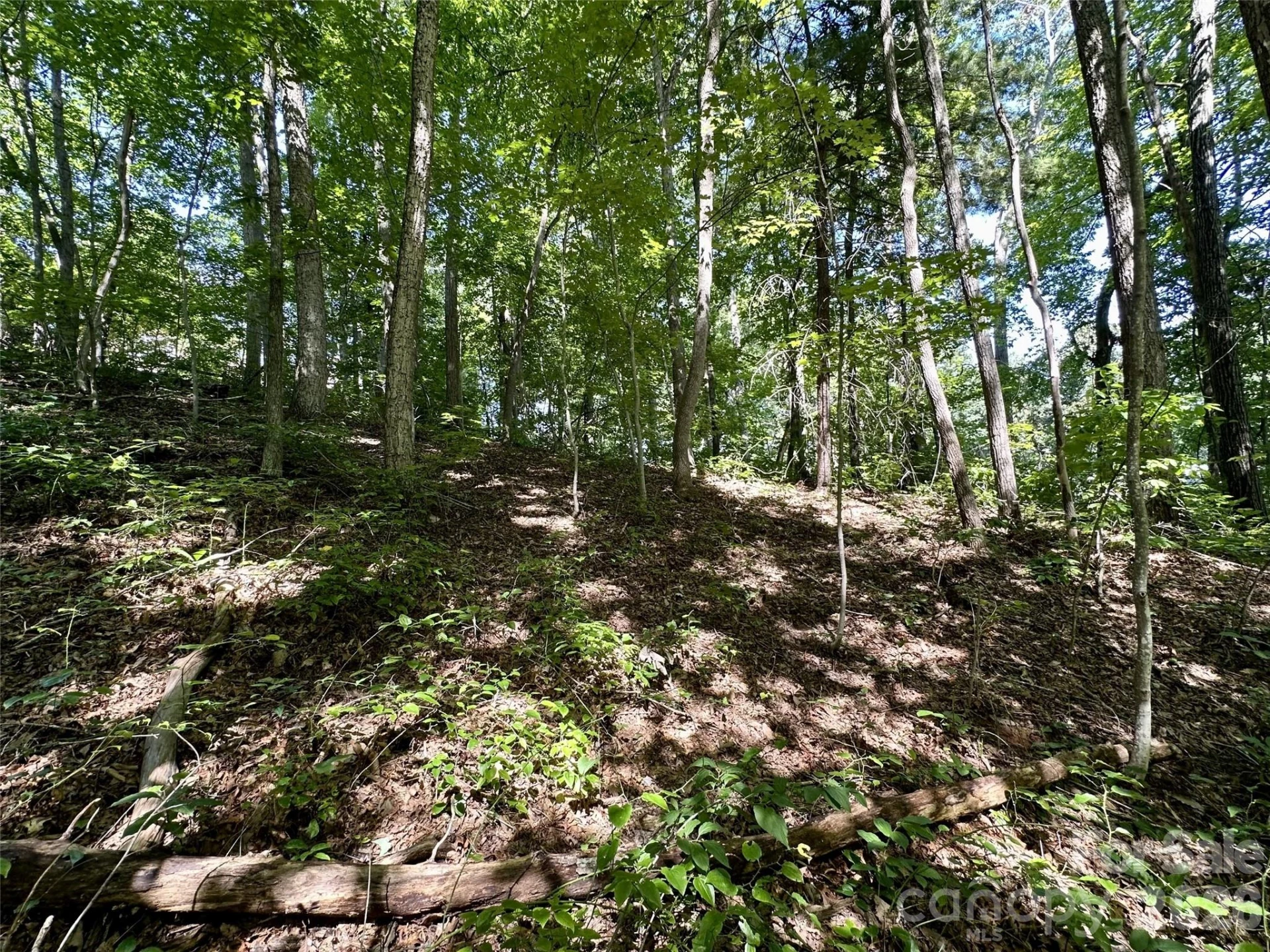 00 Liberty Road #21 - Photo 2