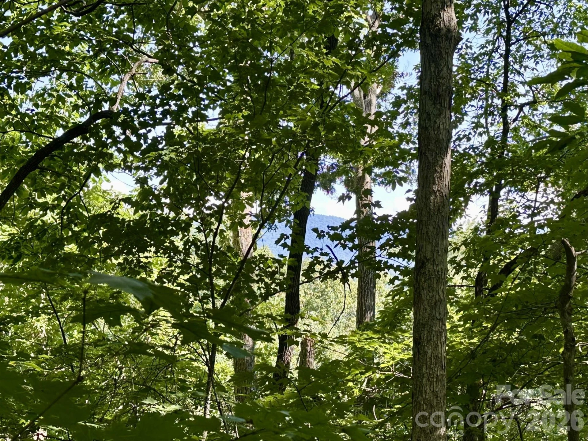 00 Liberty Road #21 - Photo 4