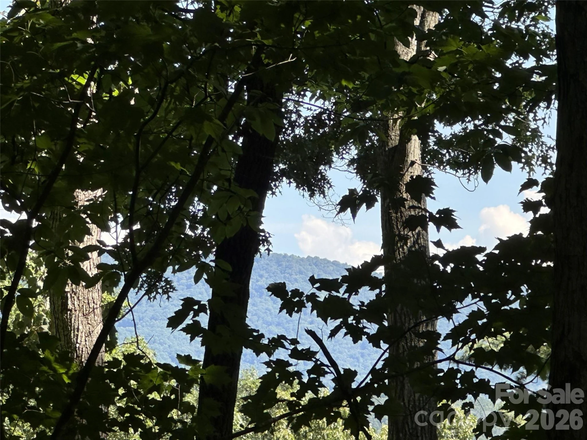 00 Liberty Road #21 - Photo 6