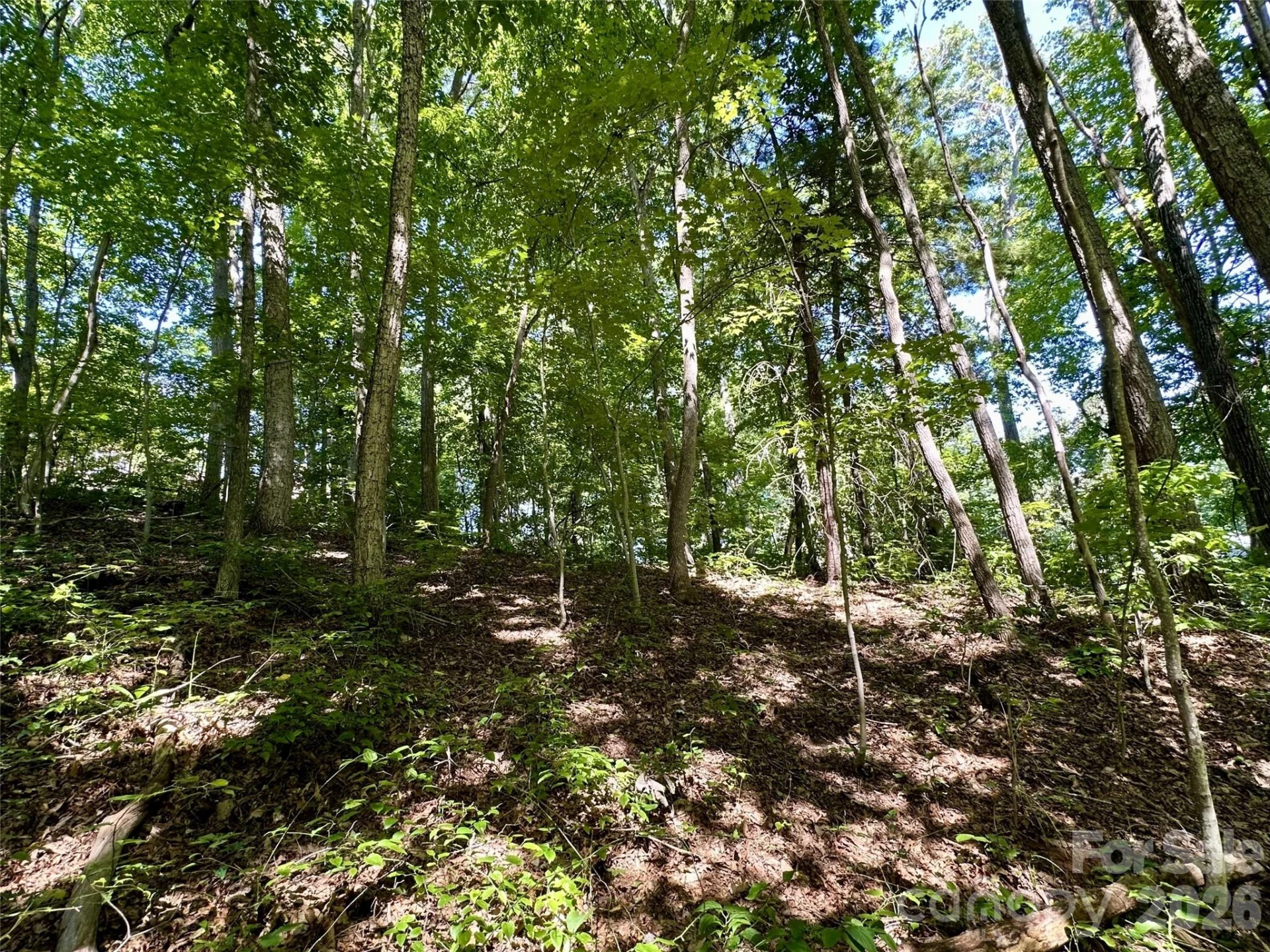 00 Liberty Road #21 - Photo 7