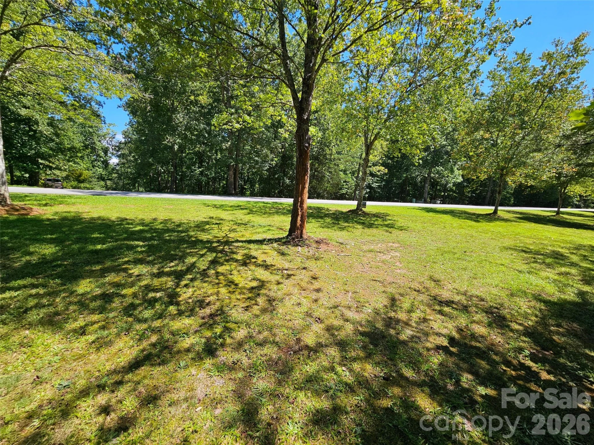 0 Shepherds Creek Circle - Photo 7