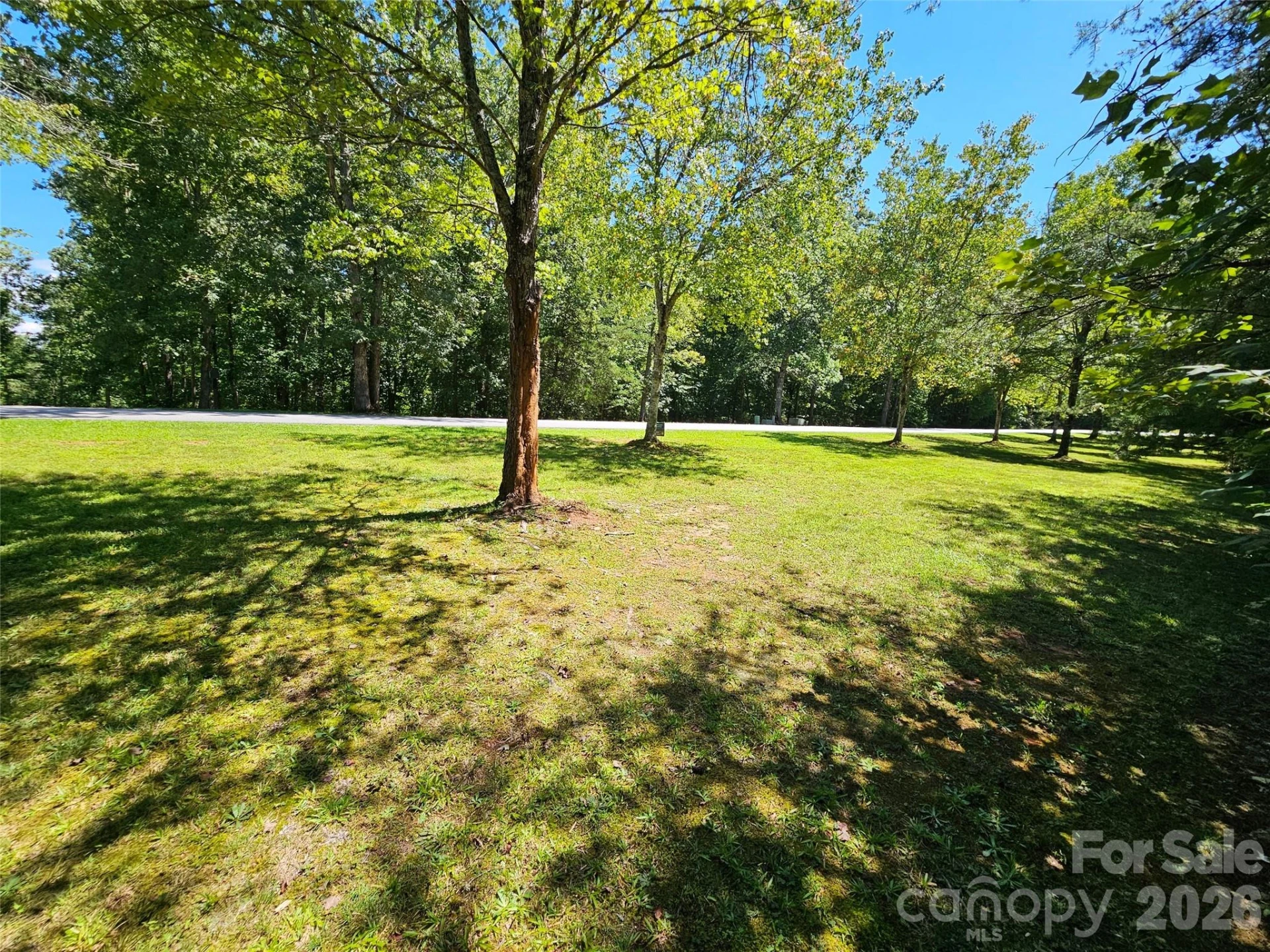 0 Shepherds Creek Circle - Photo 8