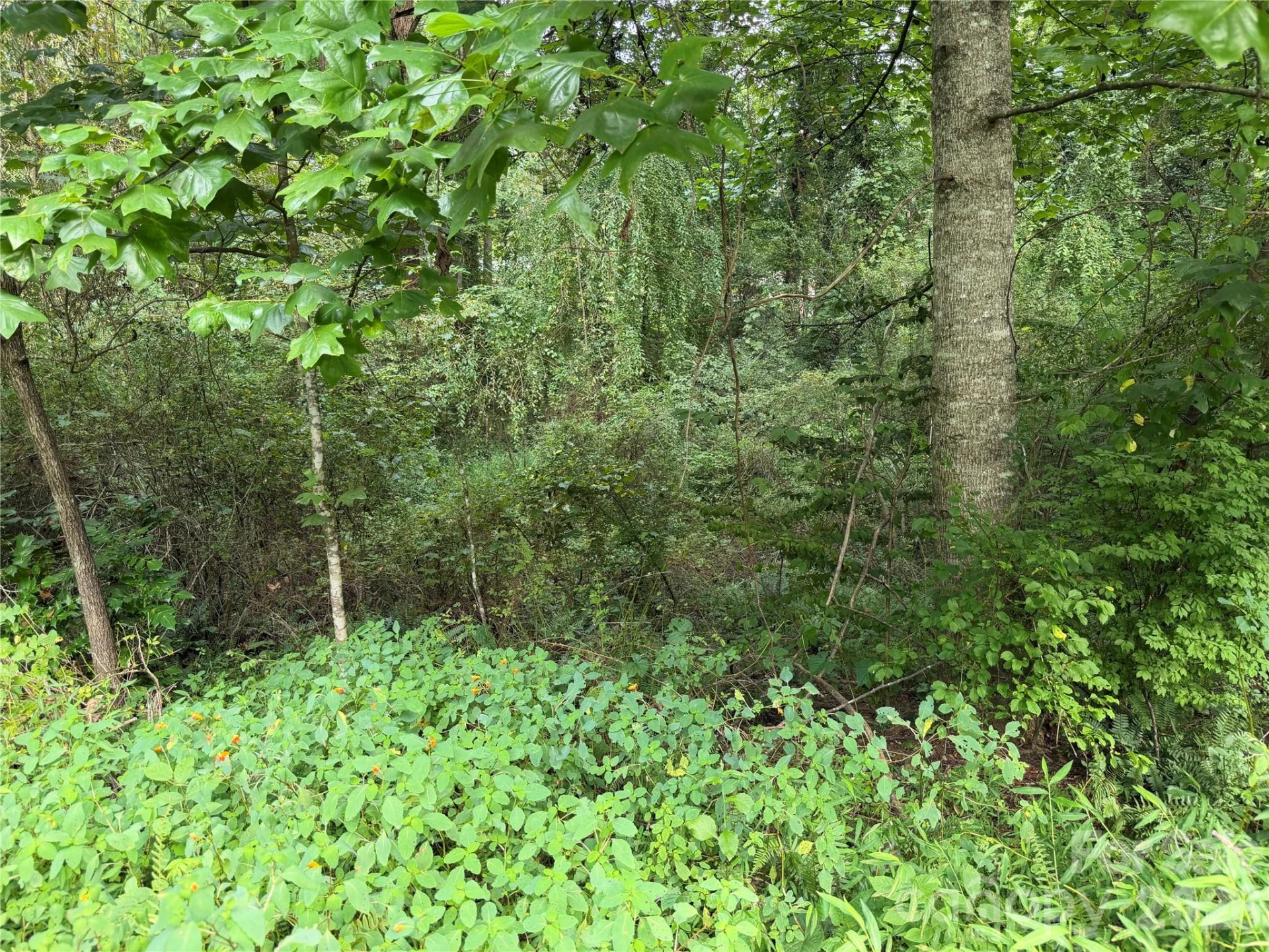 Off Meadowbrook Circle - Photo 3