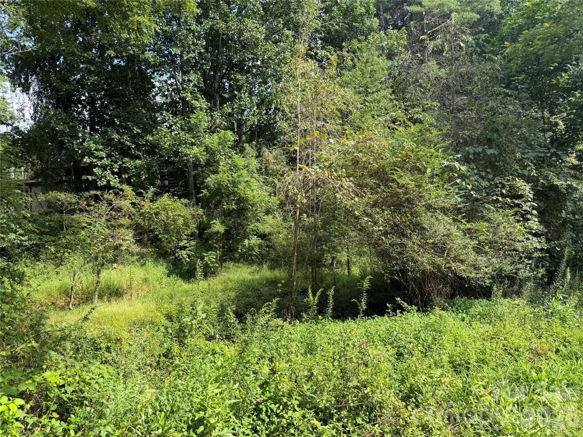 Off Meadowbrook Circle - Photo 5