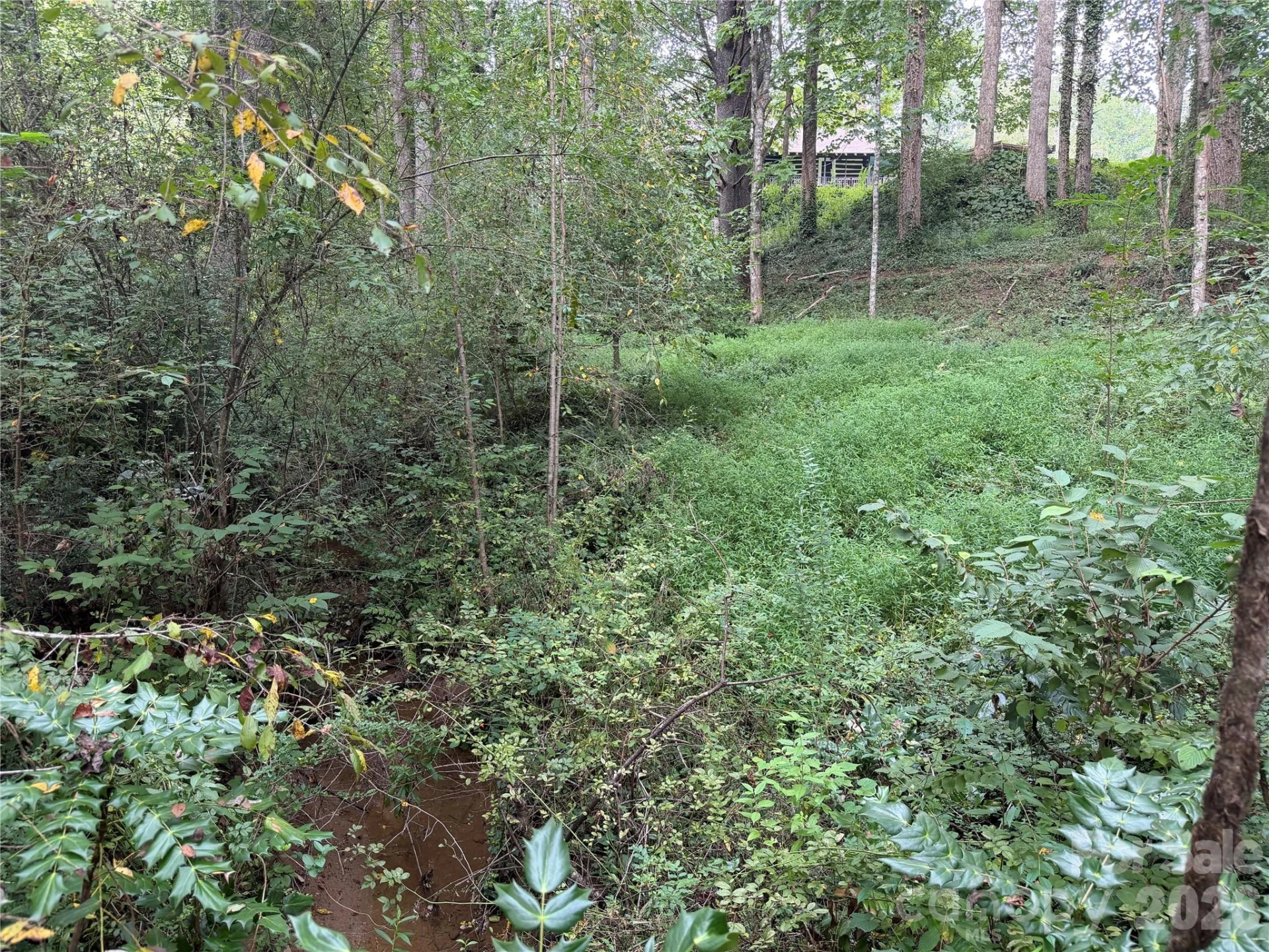 Off Meadowbrook Circle - Photo 6