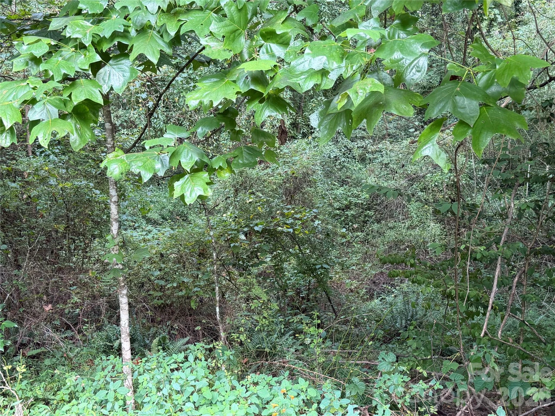 Off Meadowbrook Circle - Photo 8