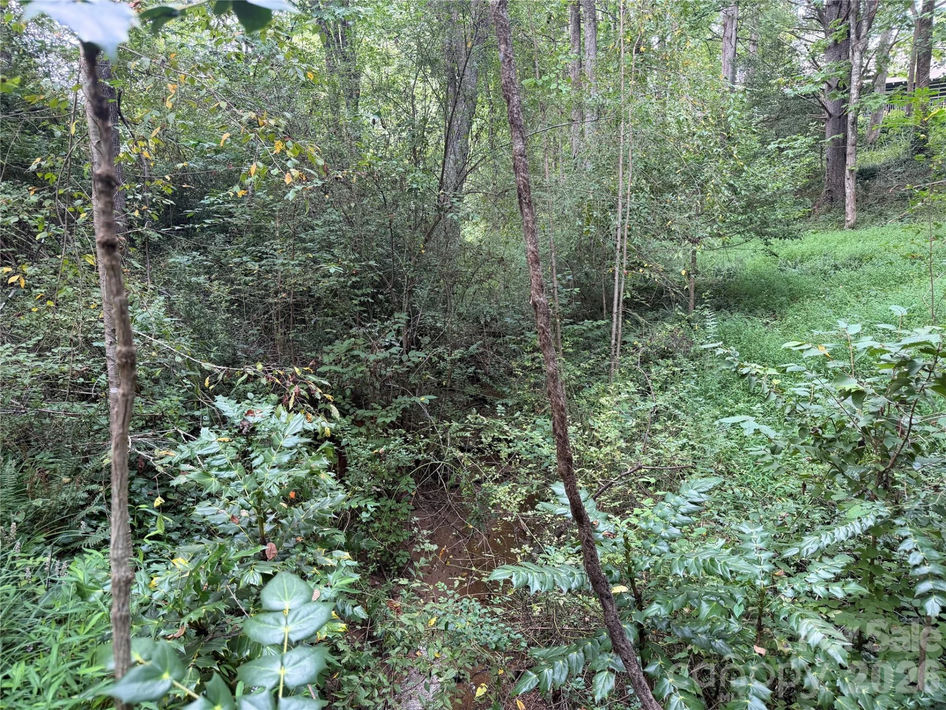 Off Meadowbrook Circle - Photo 9