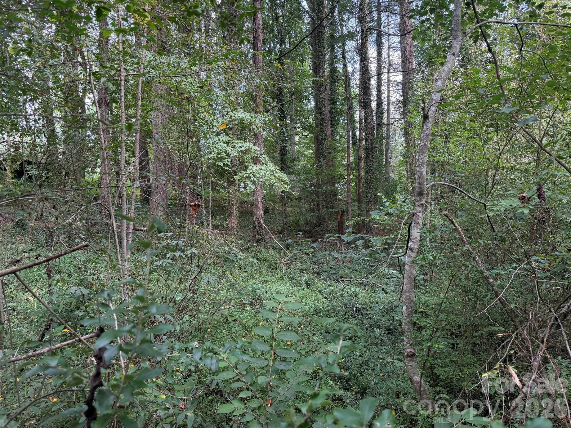 Off Meadowbrook Circle - Photo 11