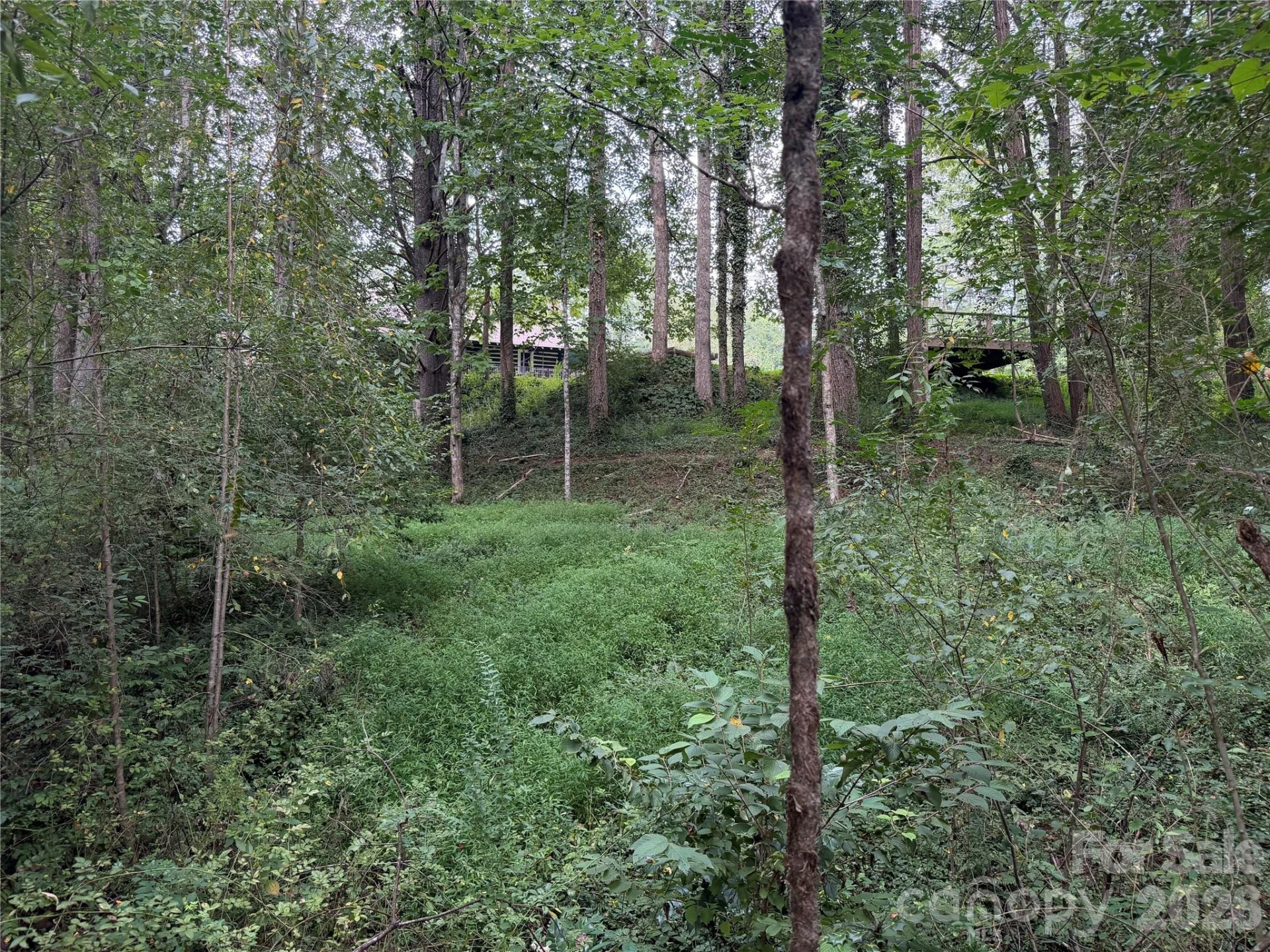 Off Meadowbrook Circle - Photo 12
