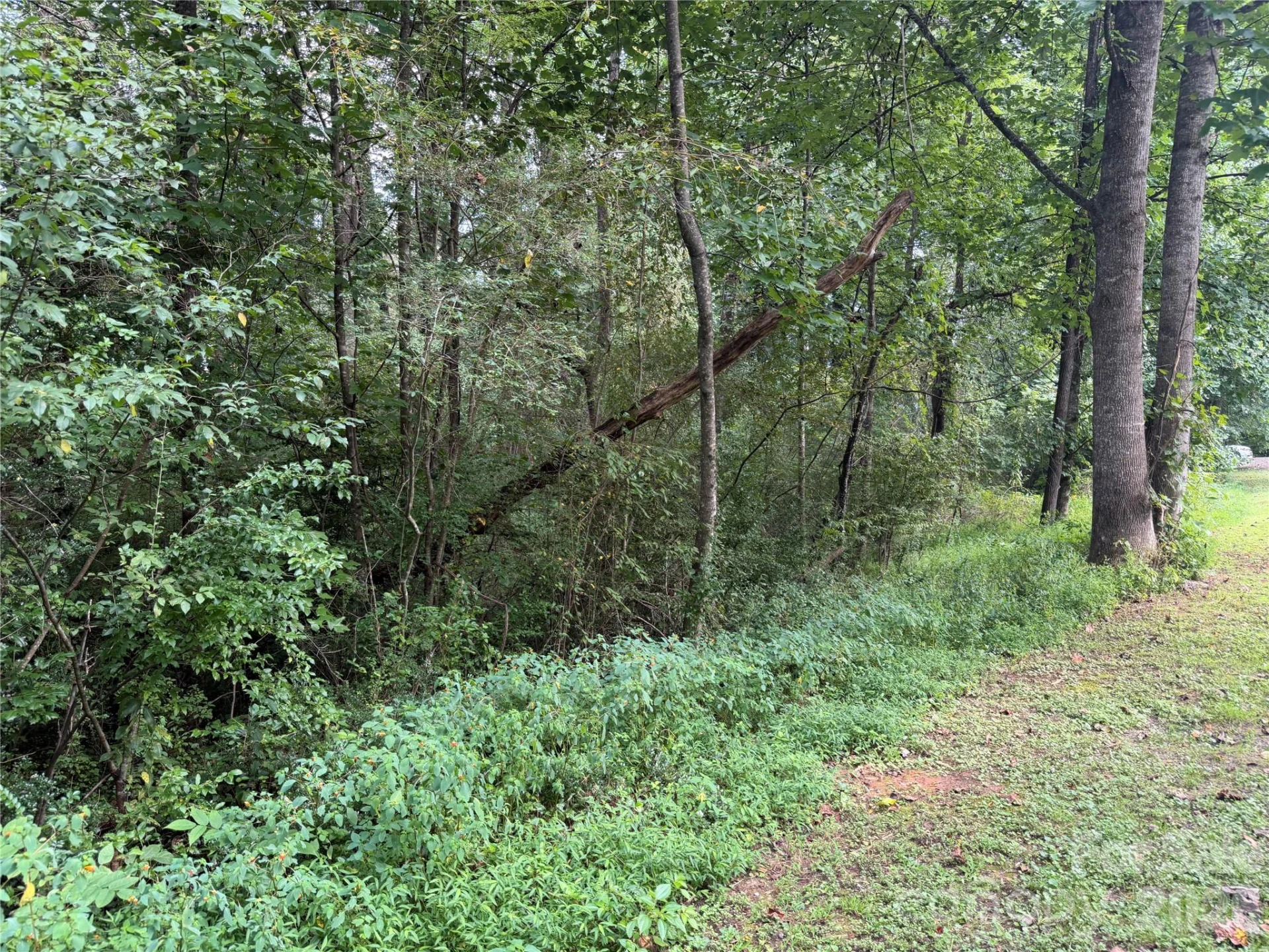 Off Meadowbrook Circle - Photo 13