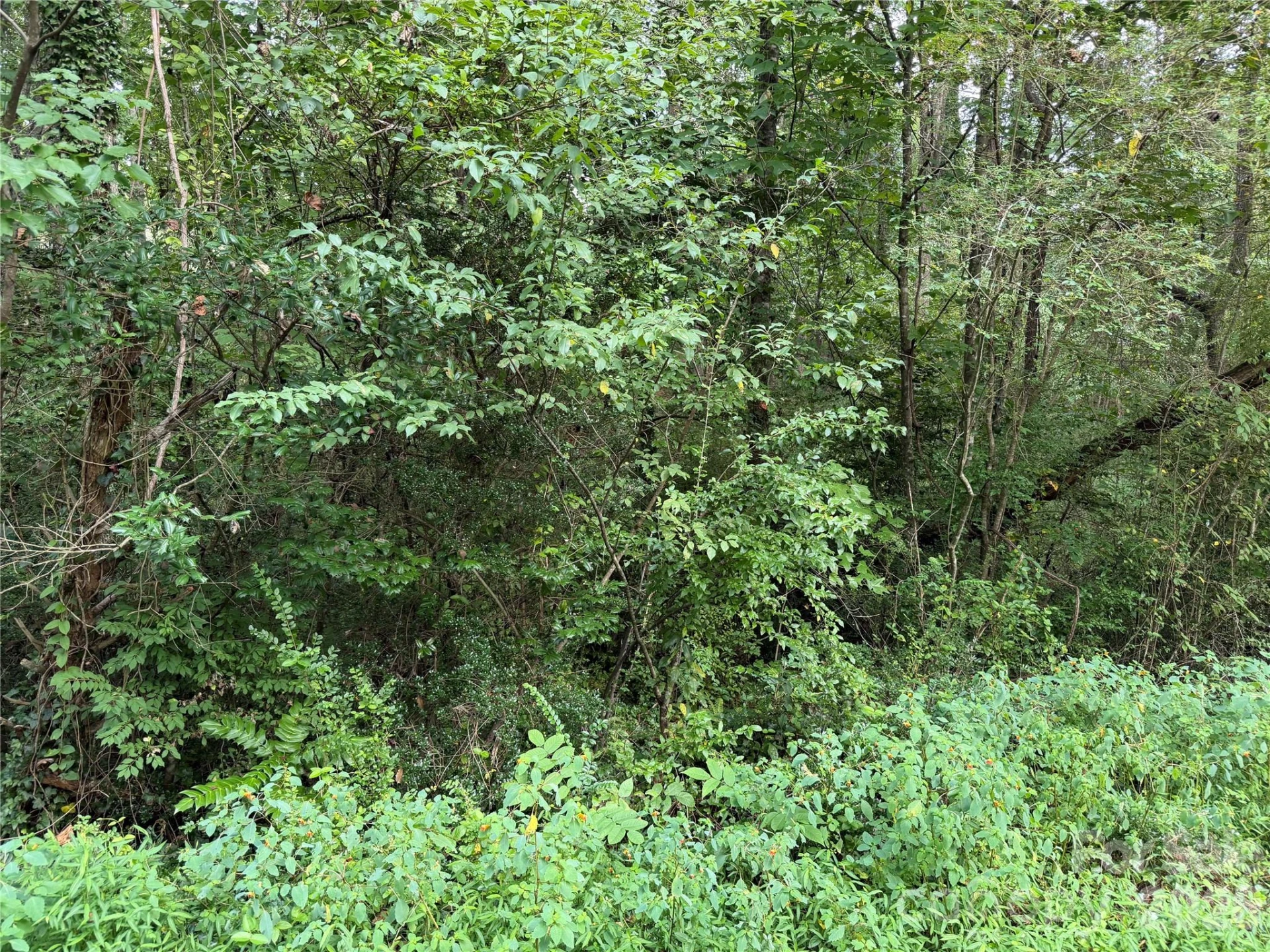 Off Meadowbrook Circle - Photo 14