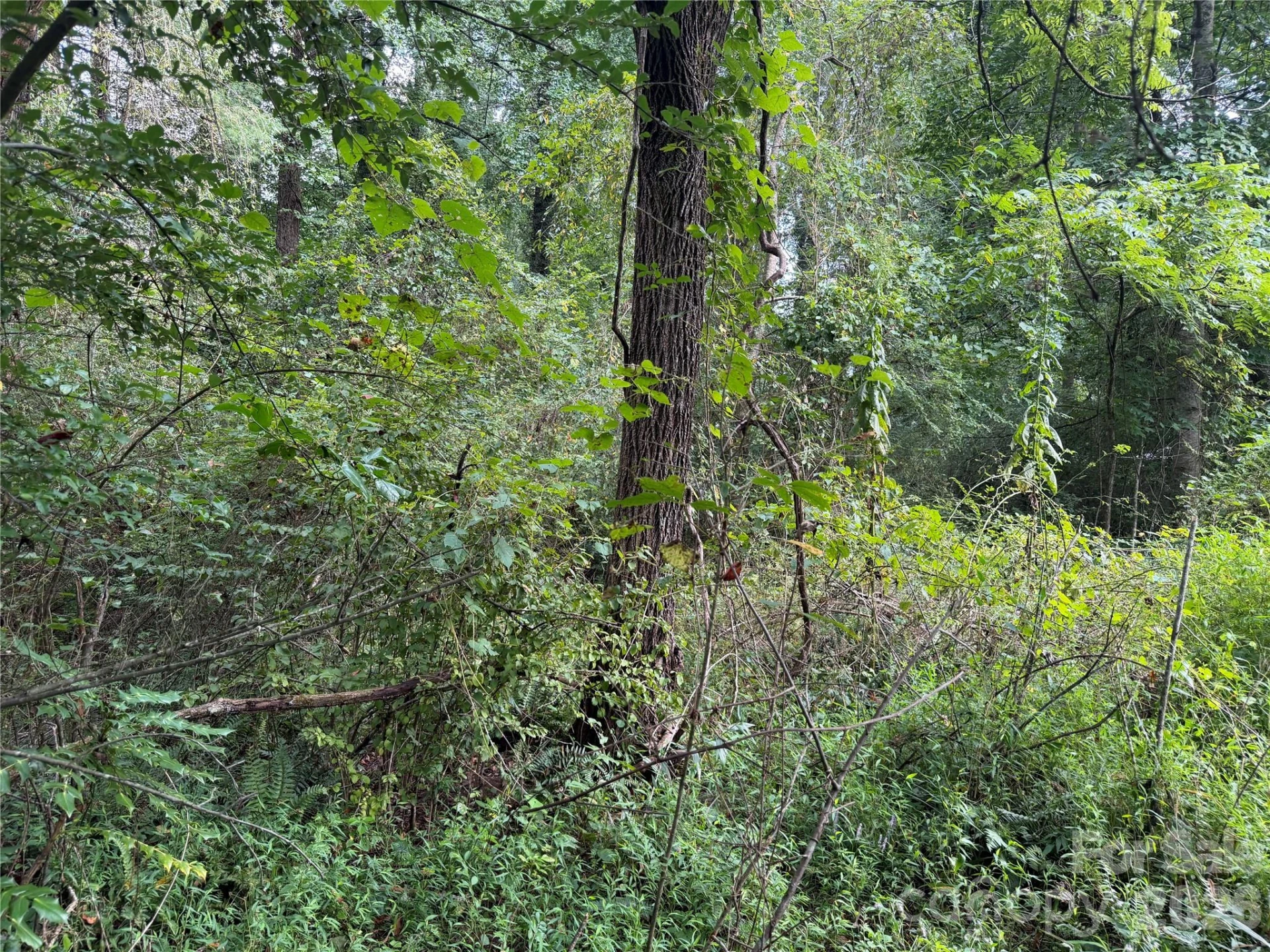 Off Meadowbrook Circle - Photo 15
