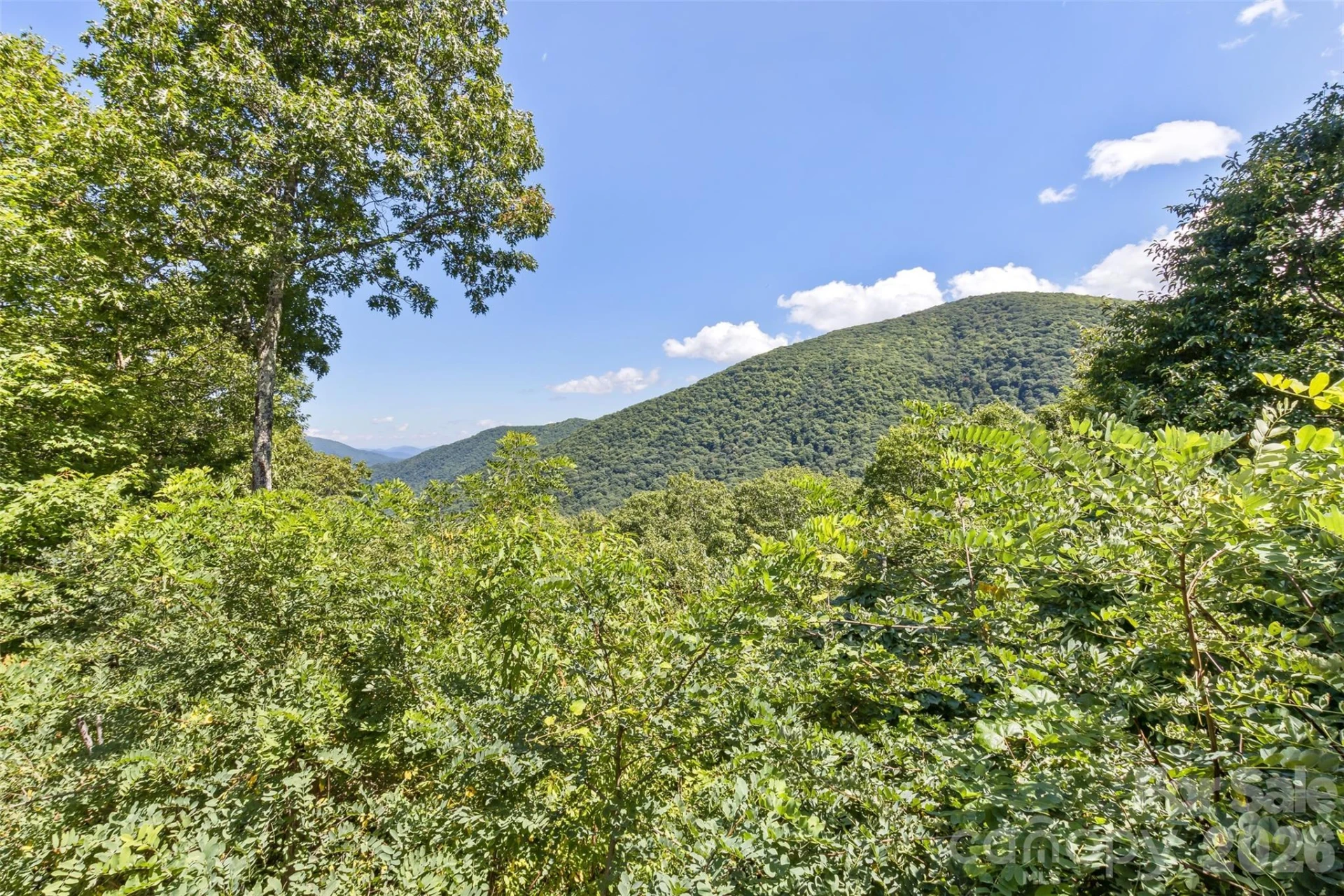 153 Tall Oaks Drive - Photo 7