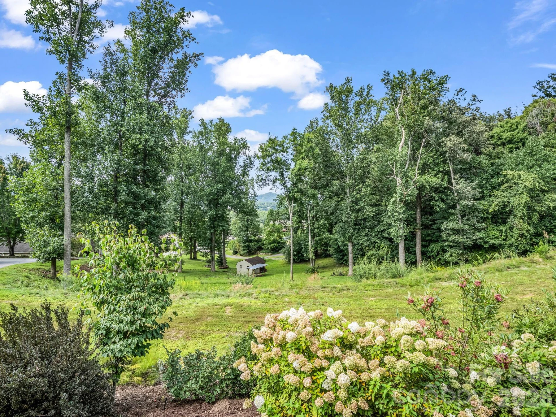 39 Bee Tree Village Parkway - Photo 33