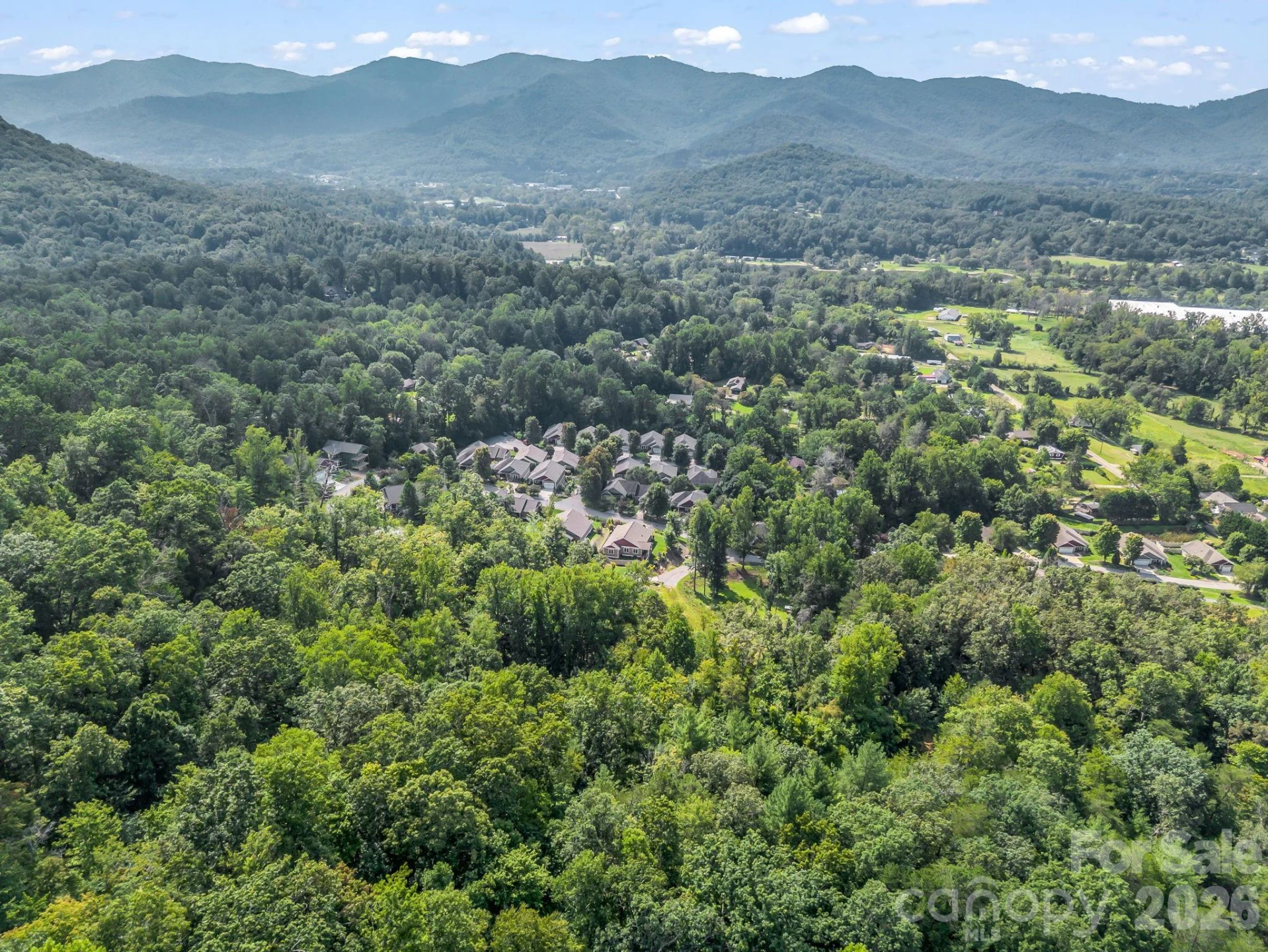 39 Bee Tree Village Parkway - Photo 37
