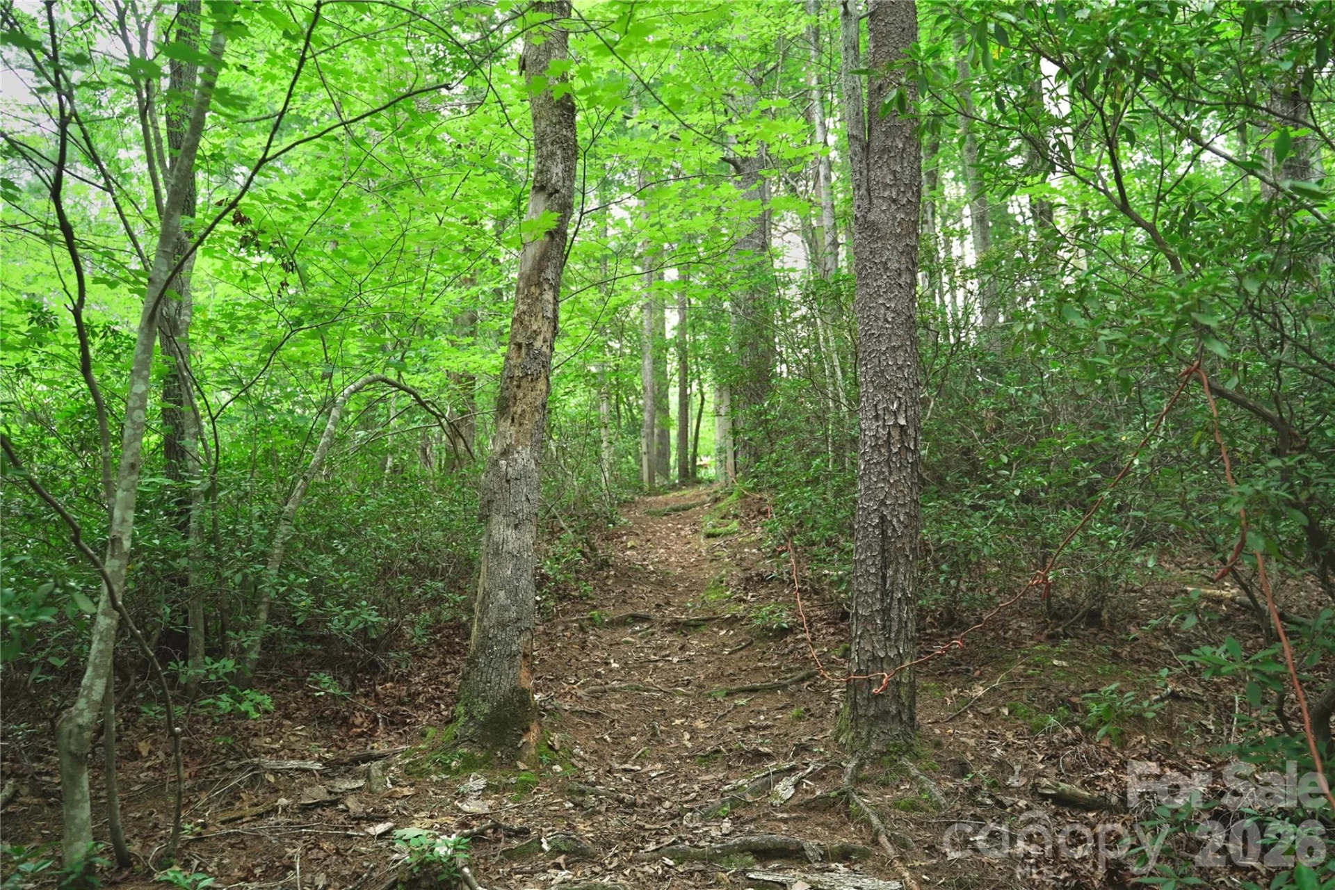3 South Pointe Road - Photo 4