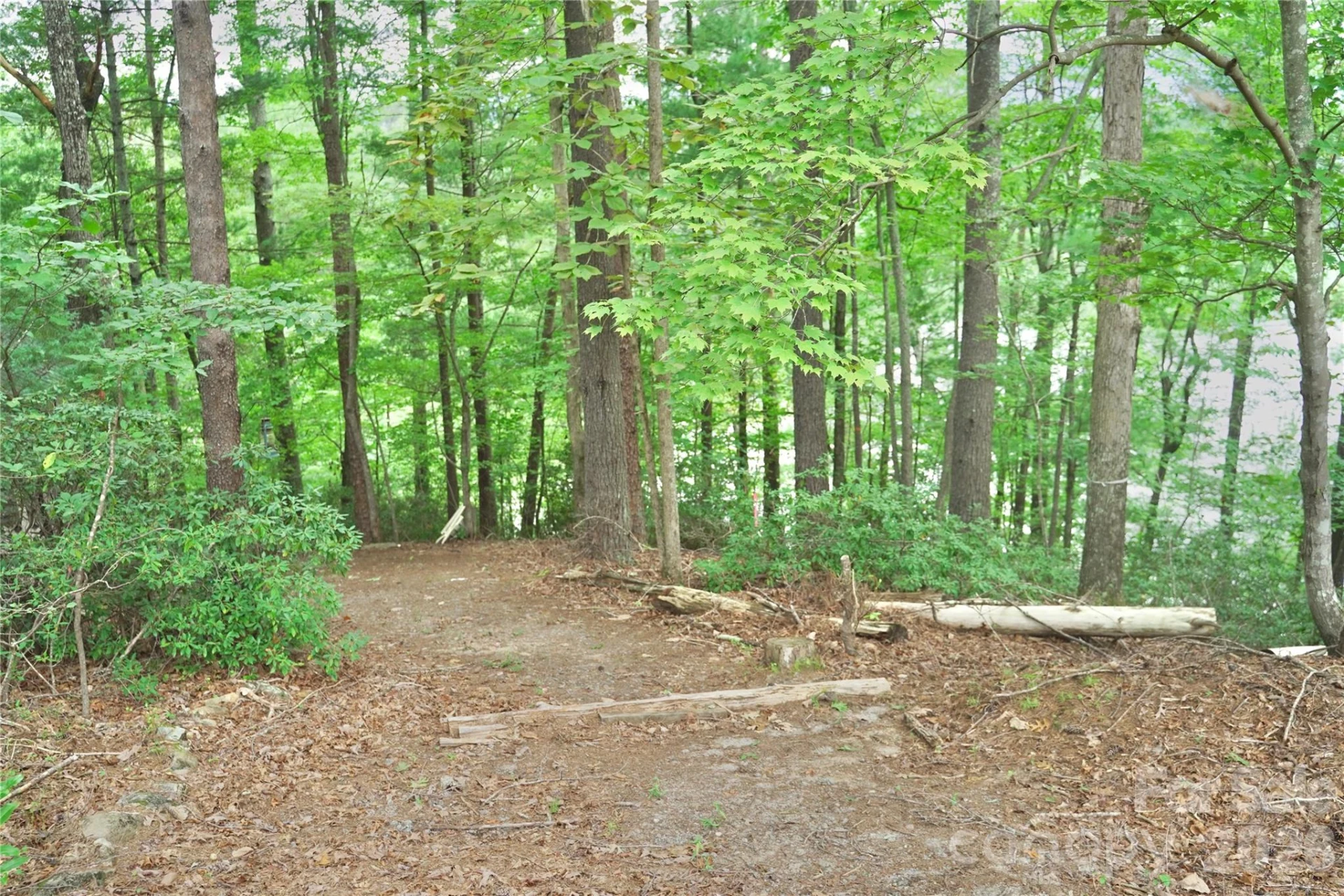 3 South Pointe Road - Photo 6