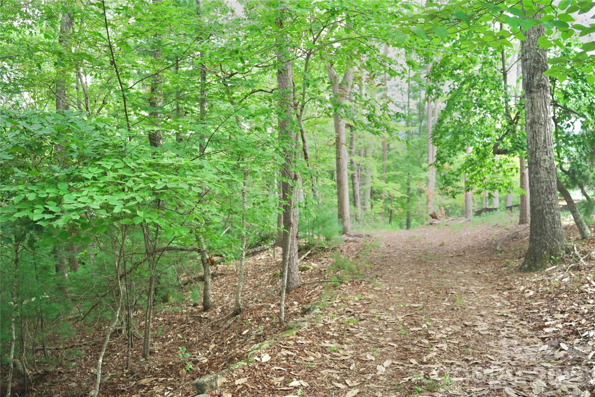 3 South Pointe Road - Photo 7