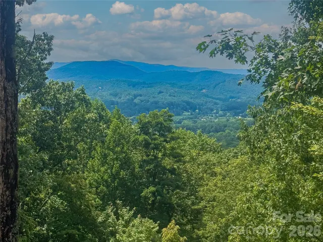 204 Forge Crest Drive