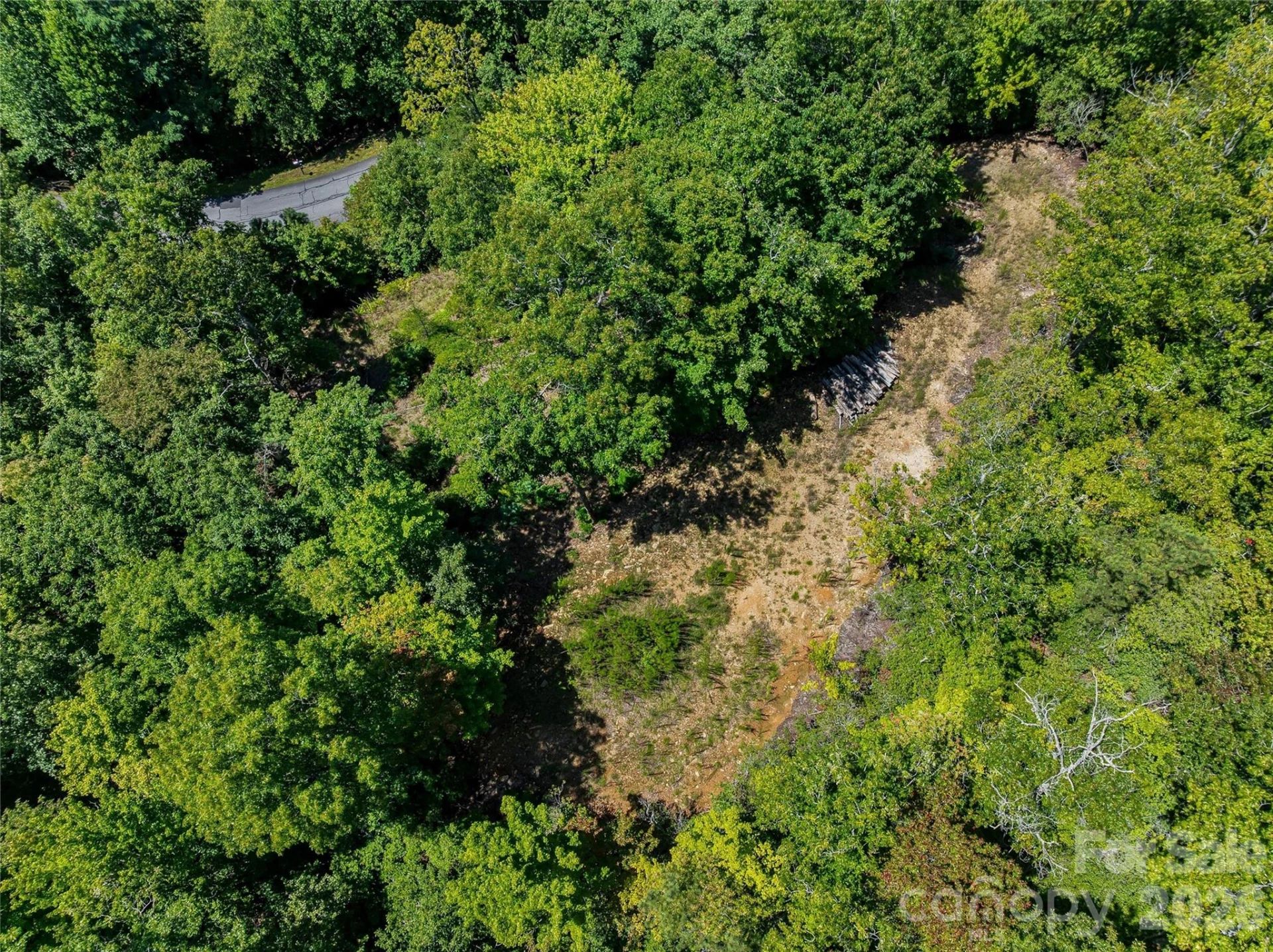 204 Forge Crest Drive #38 - Photo 5