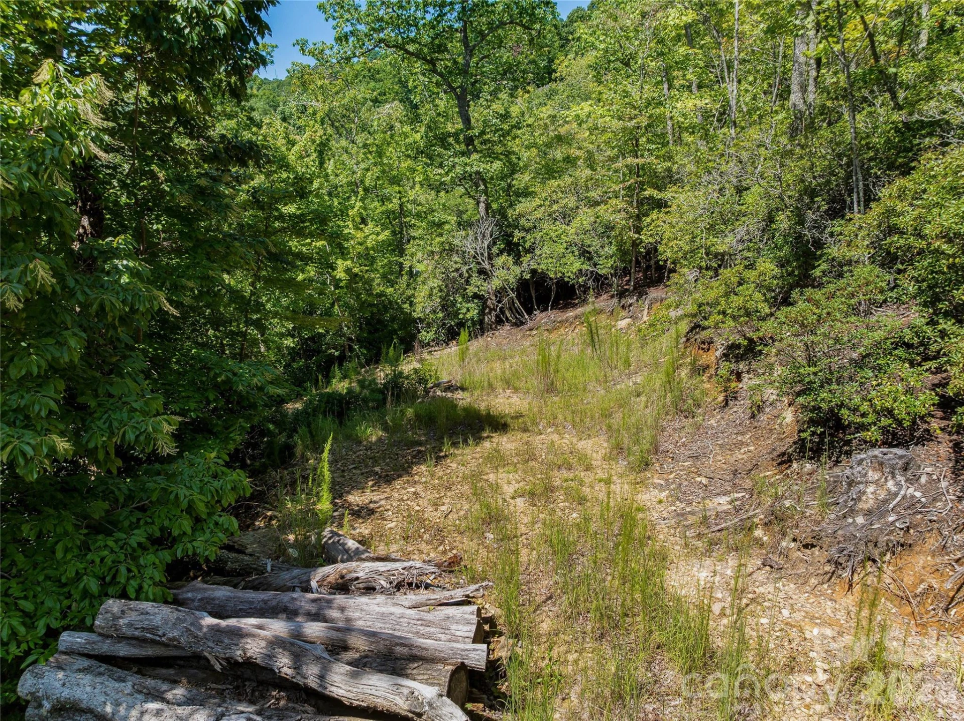 204 Forge Crest Drive #38 - Photo 8