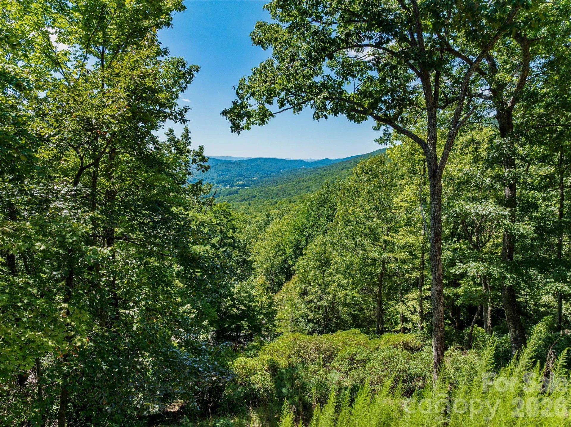 204 Forge Crest Drive #38 - Photo 11