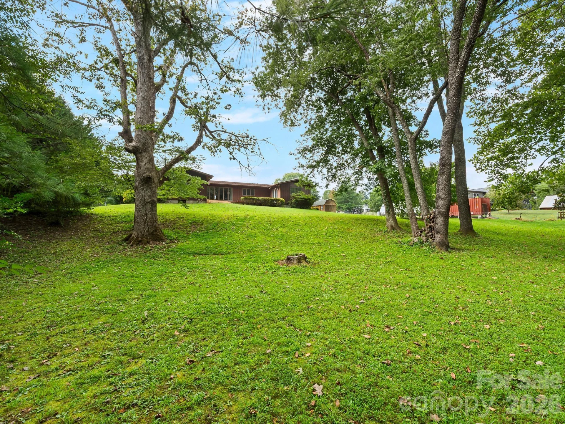 343 White Pine Drive - Photo 29