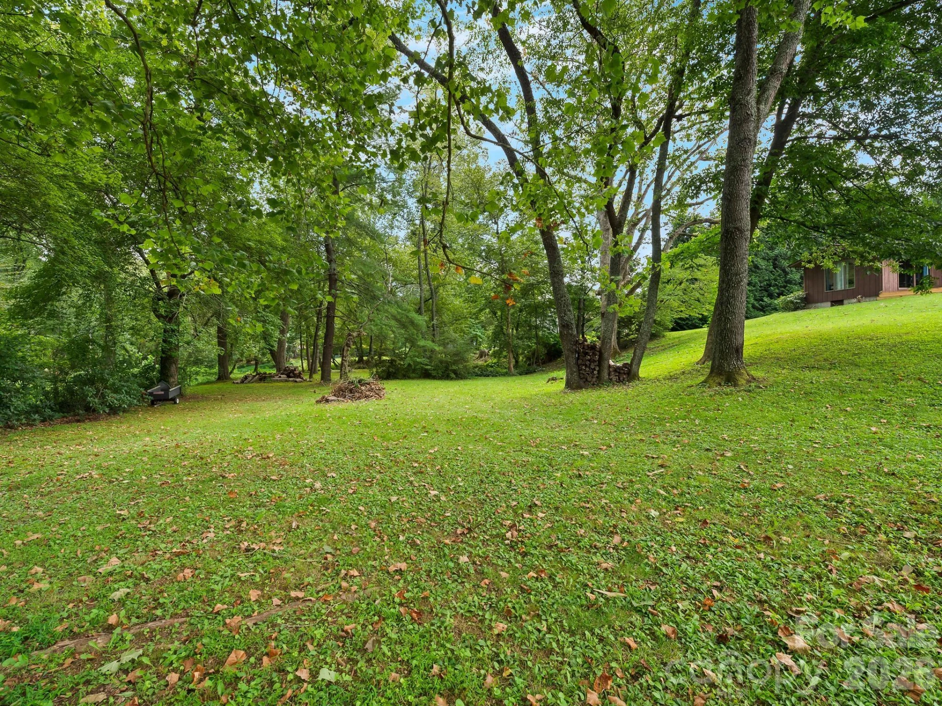 343 White Pine Drive - Photo 30