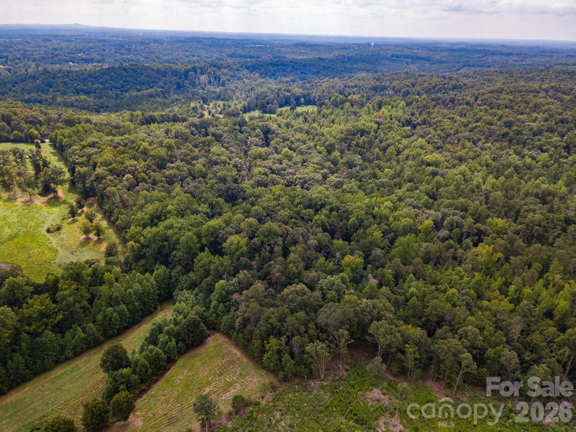 99999 Lail Road - Photo 6