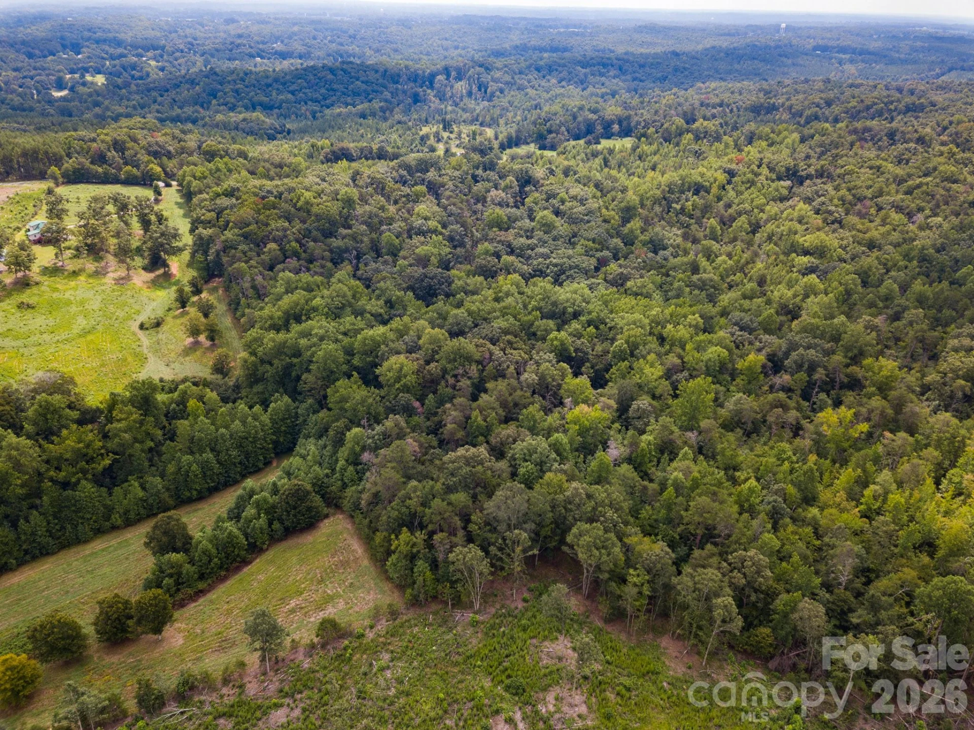 99999 Lail Road - Photo 7