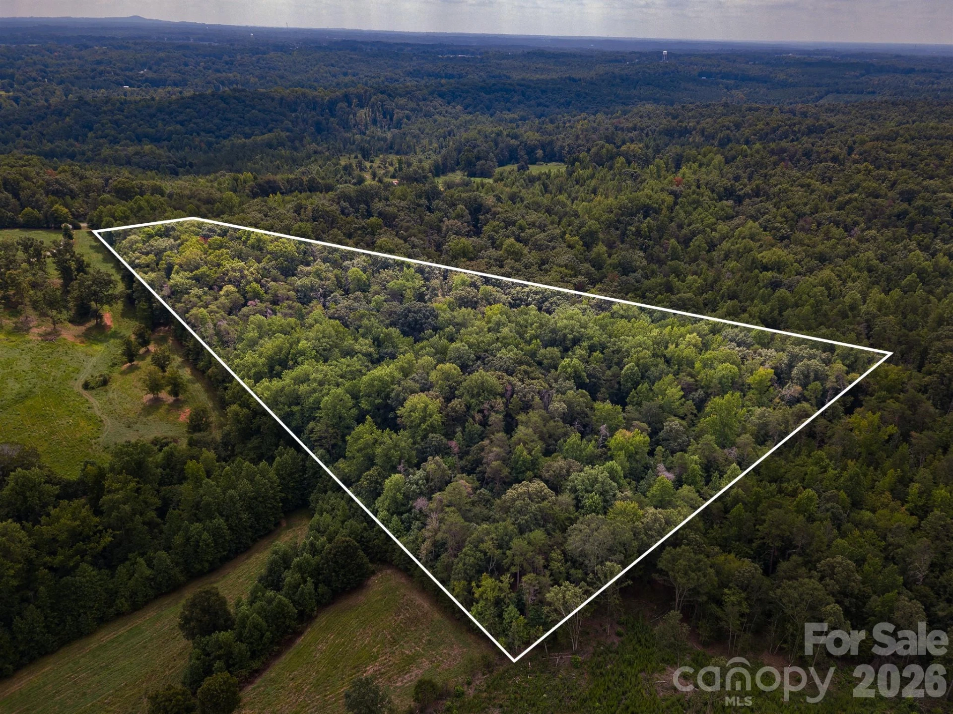 99999 Lail Road - Photo 8