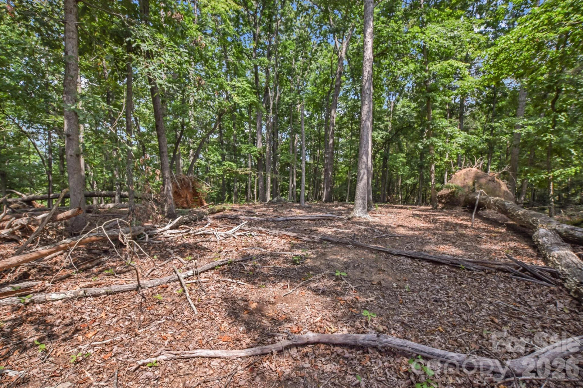 99999 Lail Road - Photo 9