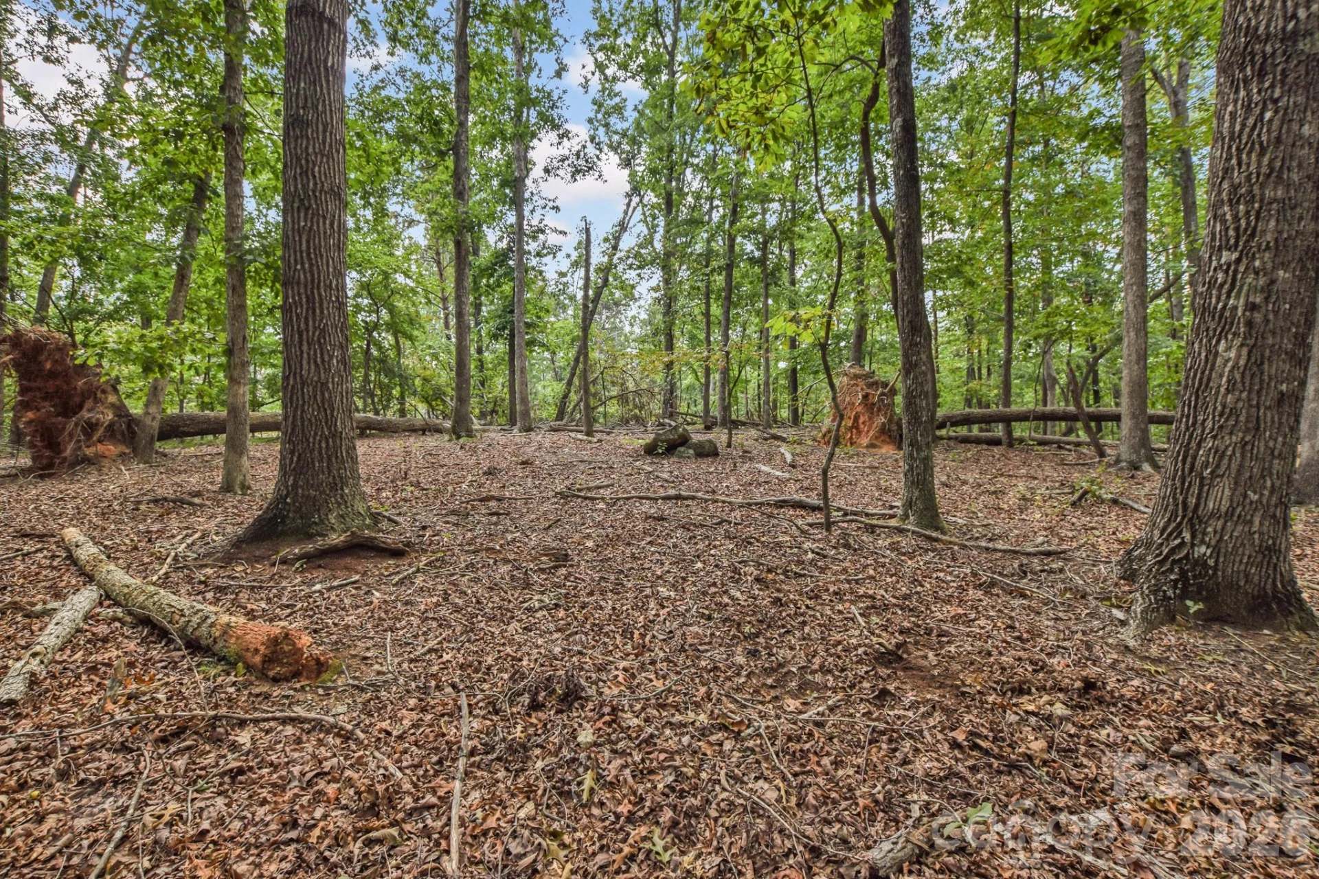 99999 Lail Road - Photo 10