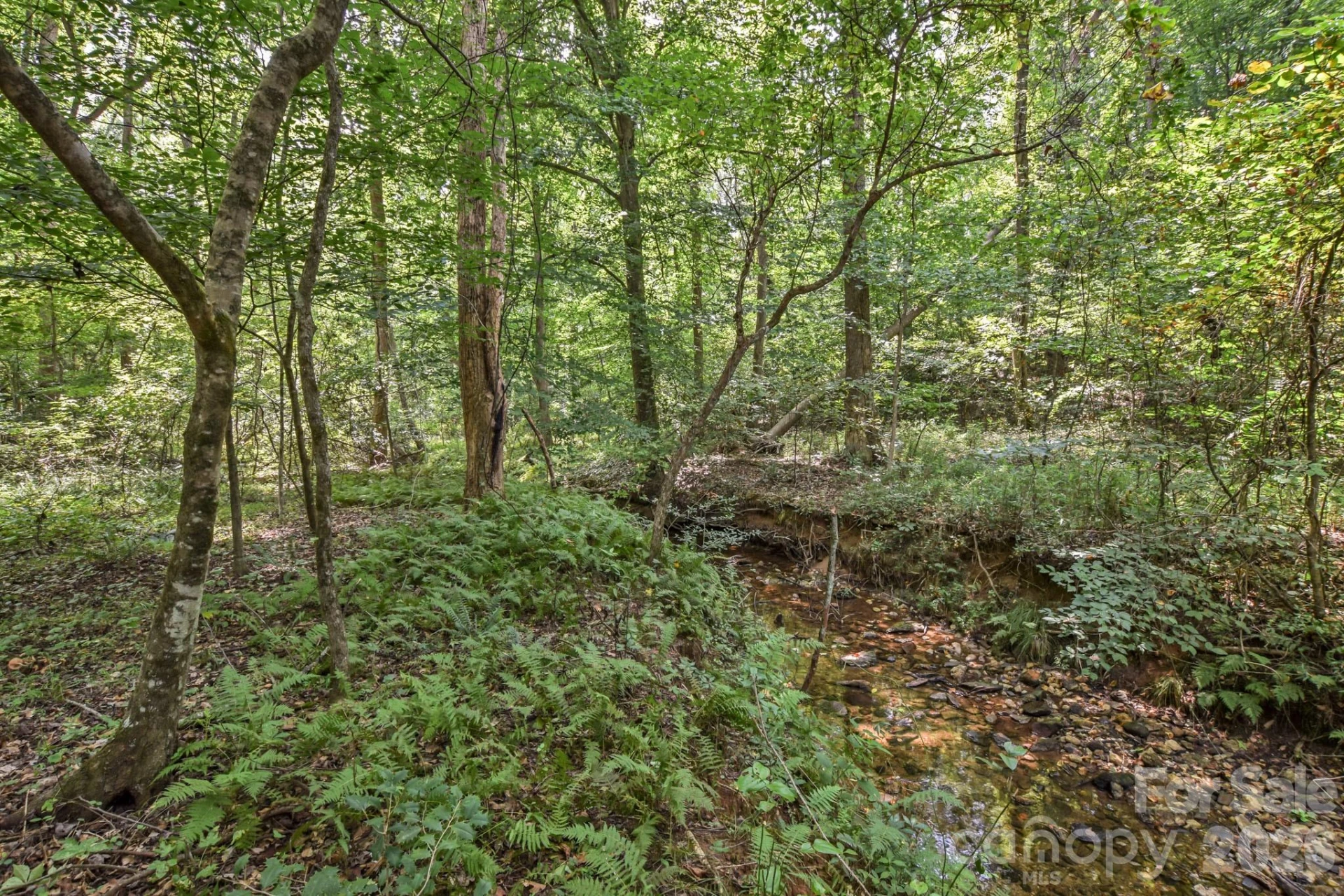99999 Lail Road - Photo 11