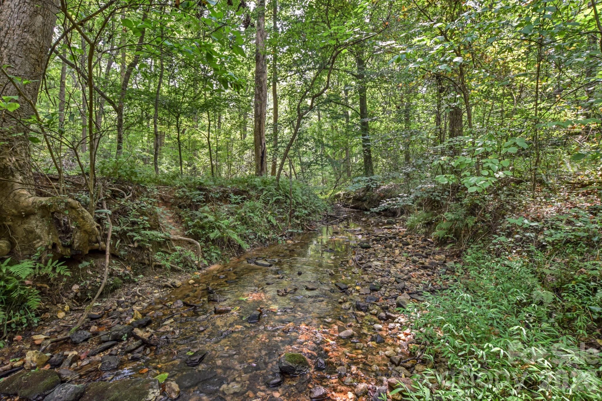 99999 Lail Road - Photo 12