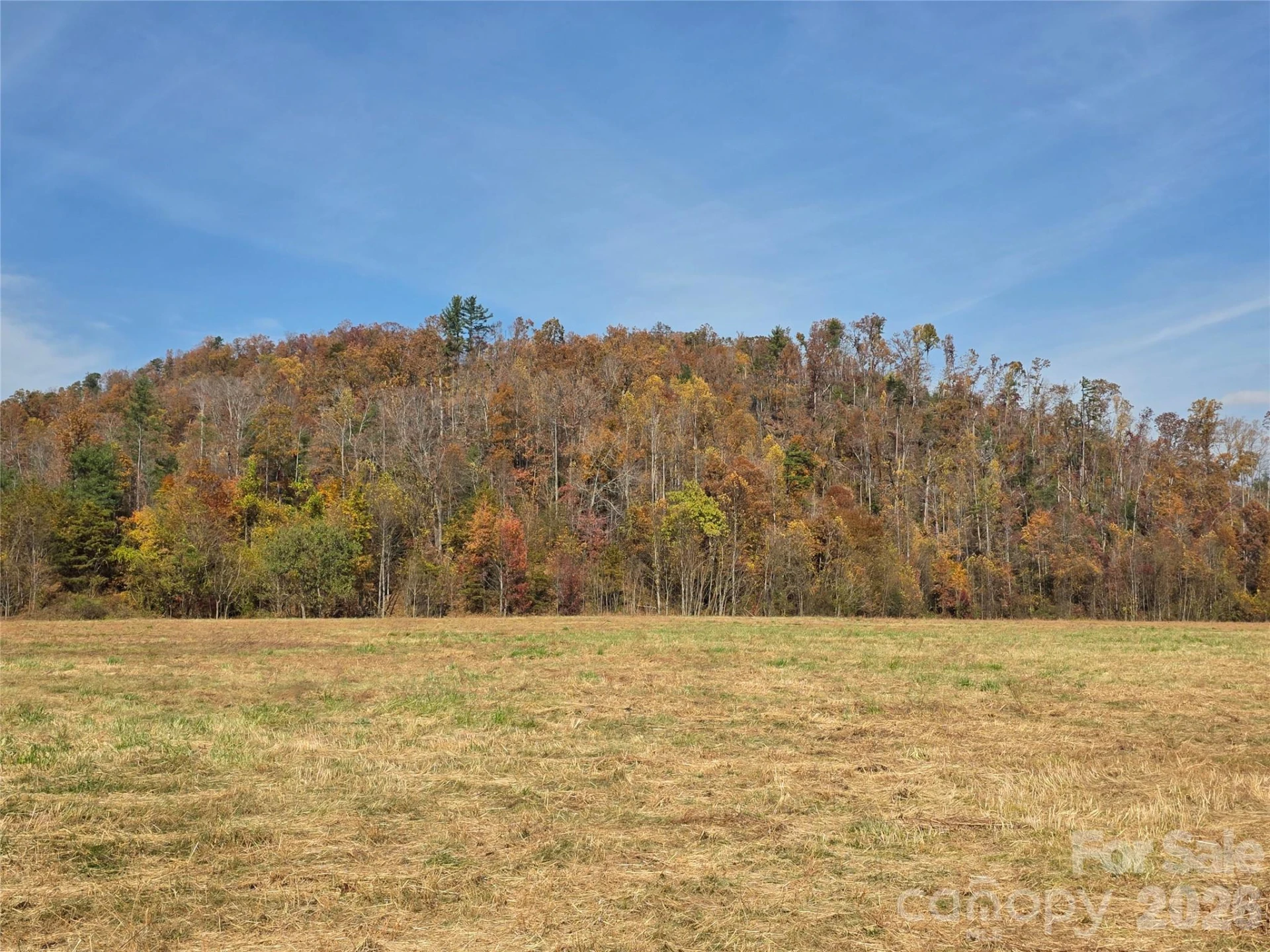 00 Hwy 221 Highway N - Photo 10